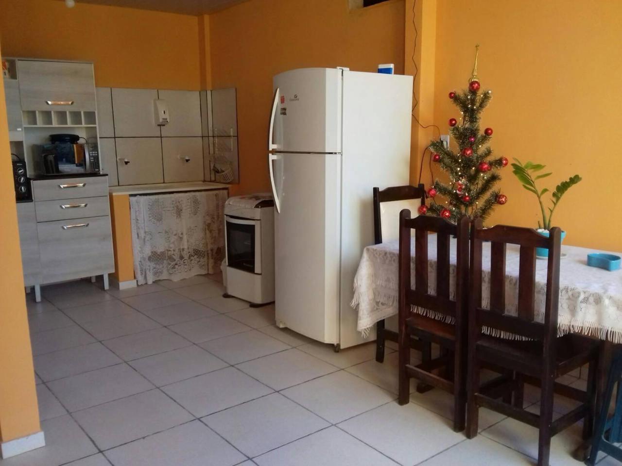 Palmeiras Cabo Frio